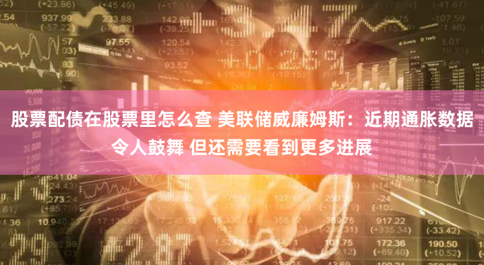 股票配债在股票里怎么查 美联储威廉姆斯：近期通胀数据令人鼓舞 但还需要看到更多进展
