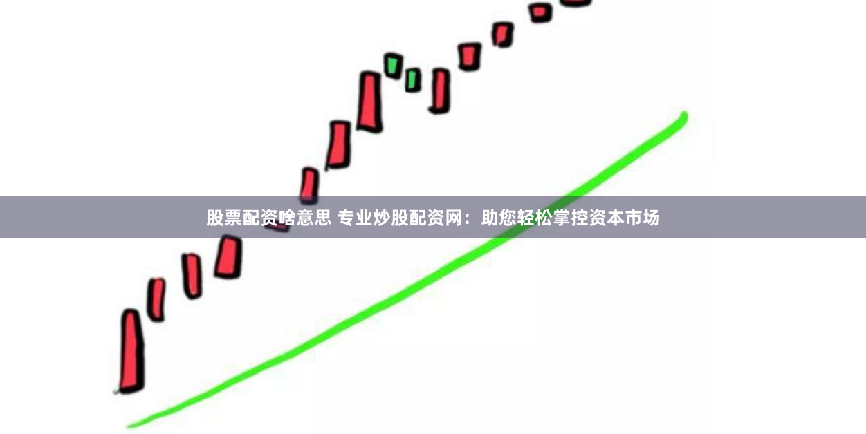 股票配资啥意思 专业炒股配资网：助您轻松掌控资本市场