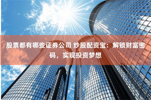 股票都有哪些证券公司 炒股配资宝：解锁财富密码，实现投资梦想